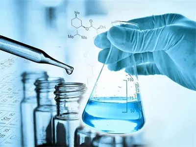 Caracterización del acelerador de vulcanización.